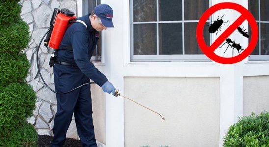 Doğubayazıt Fare İlaçlama böcek ilaçlama ve haşere kontrolü — ilaclama-tr.com